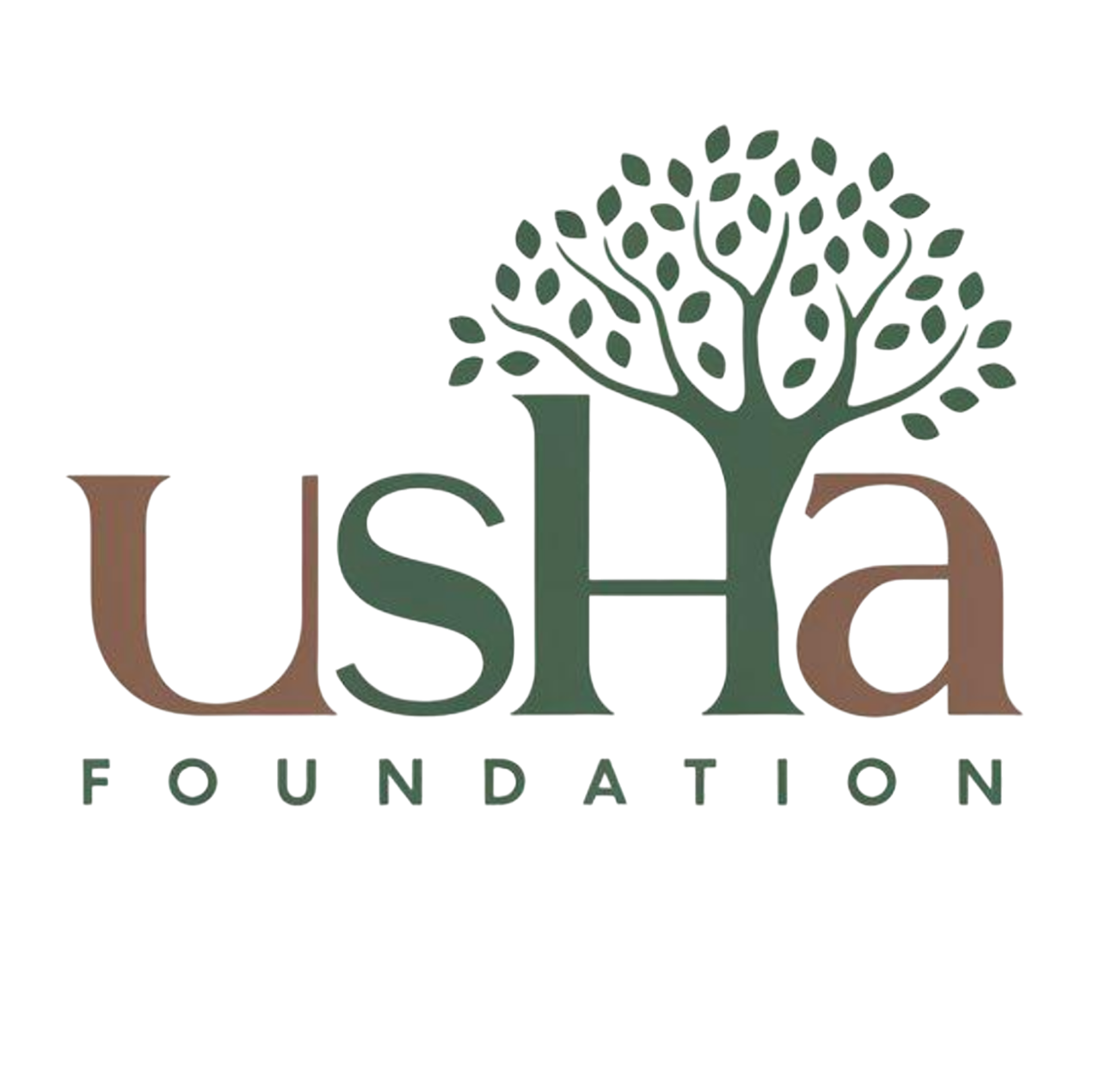 usha foundation
